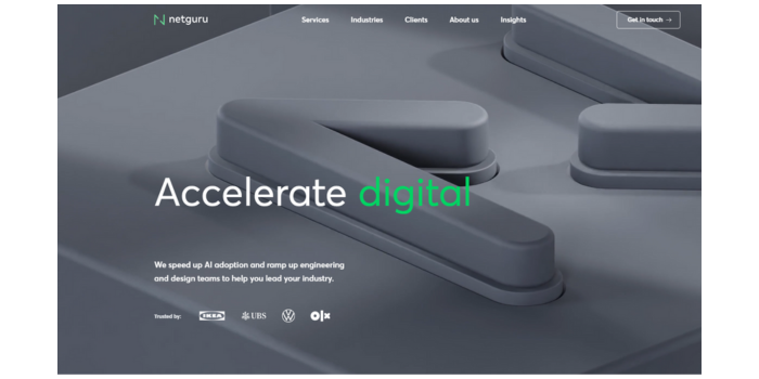 Netguru